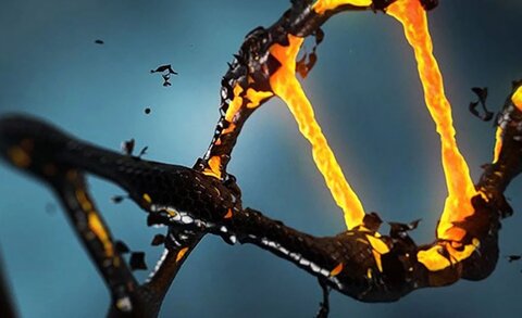 dark dna