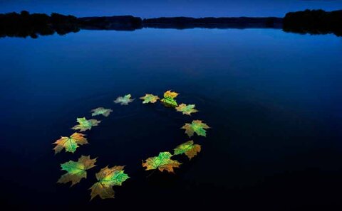 Europe climat