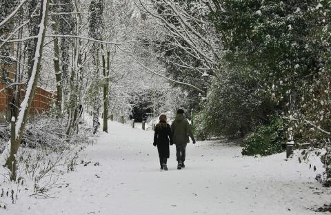 winter