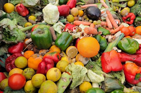 Gaspillage alimentaire