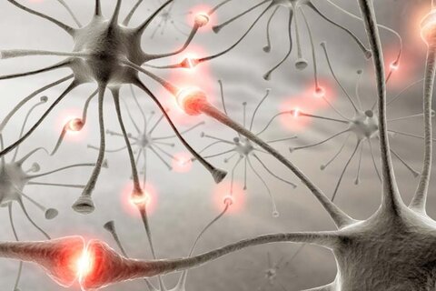 douleurs neuropathiques