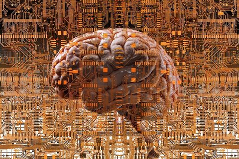 neurosciences