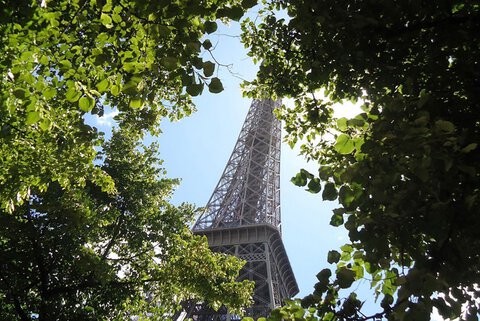 Forêts dans Paris
