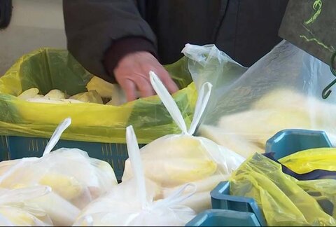 sacs plastique