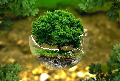 développement durable