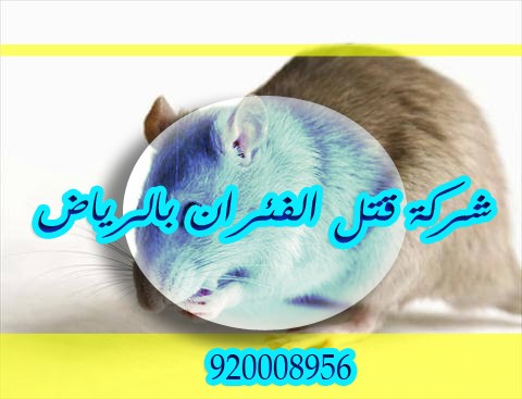 شركة قتل الفئران بالرياض