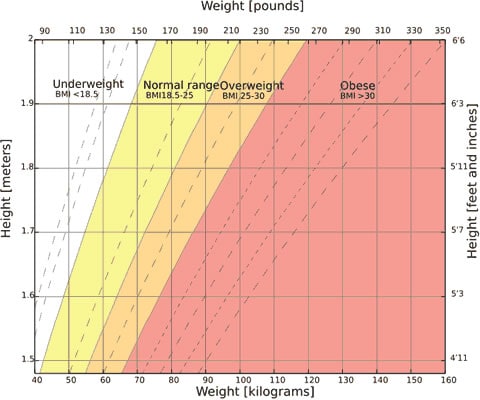 Dancer Height Weight Chart