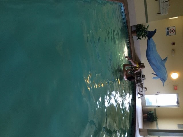 The real dolphin jump!