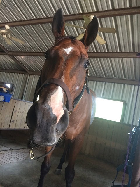 I mean, that face says it all right?