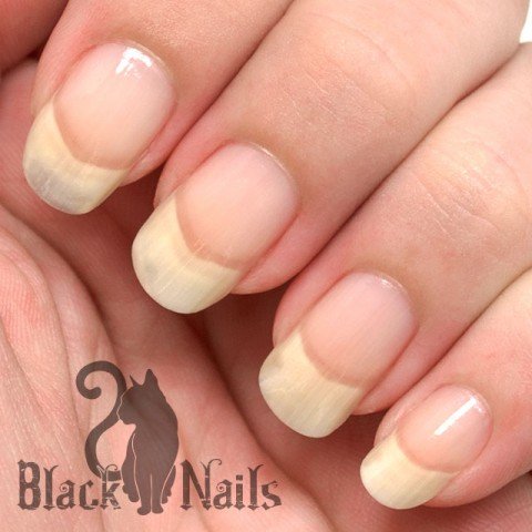 Opi Nail Envy on August 15