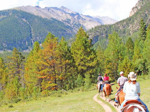 Mt. Princeton Hot Springs Riding Stables