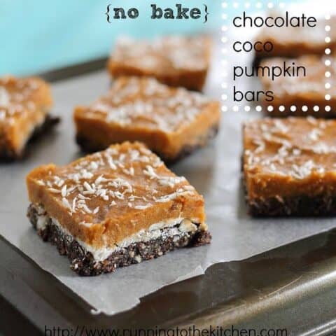 No bake chocolate coco pumpkin bars