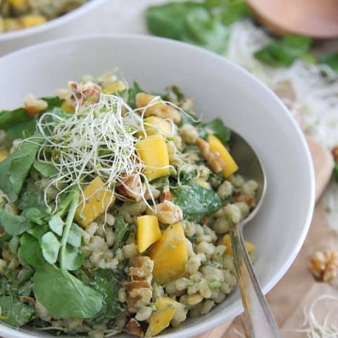 Barley Mango Salad with Avocado Yogurt Dressing
