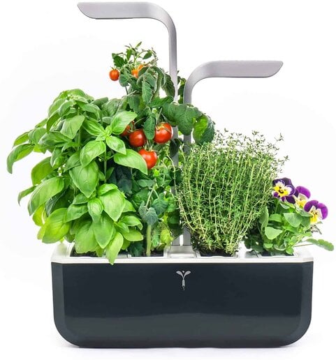 Veritable Smart Indoor Garden Veritable Smart Indoor Garden