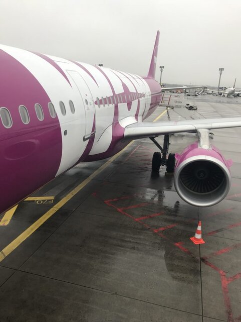WOW Air von Island nach Frankfurt WOW Air von Island nach Frankfurt