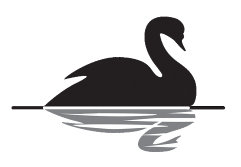 Black-Swan cisne negro inversion Black-Swan cisne negro inversion