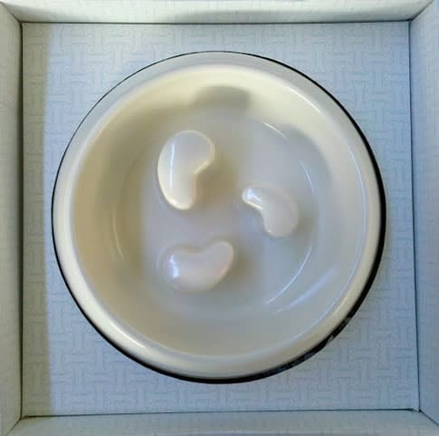 Martha Stewart Pets Slow Feeder Dog Bowl Review