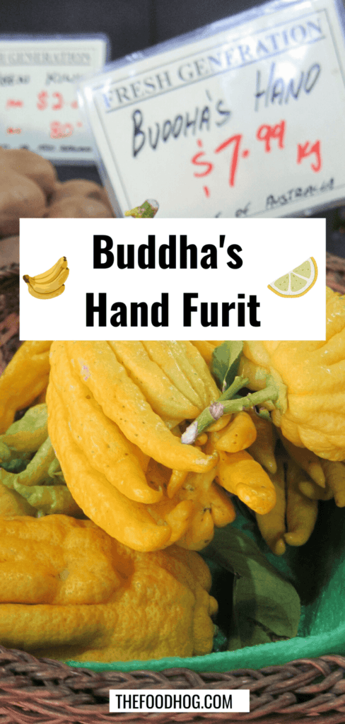 buddha's hand fruit bushukan