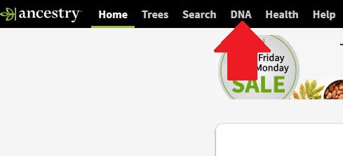 how to find dna matches on ancestry dna