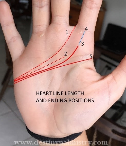 heart line types, love lines, emotional person mark palm, passionate line