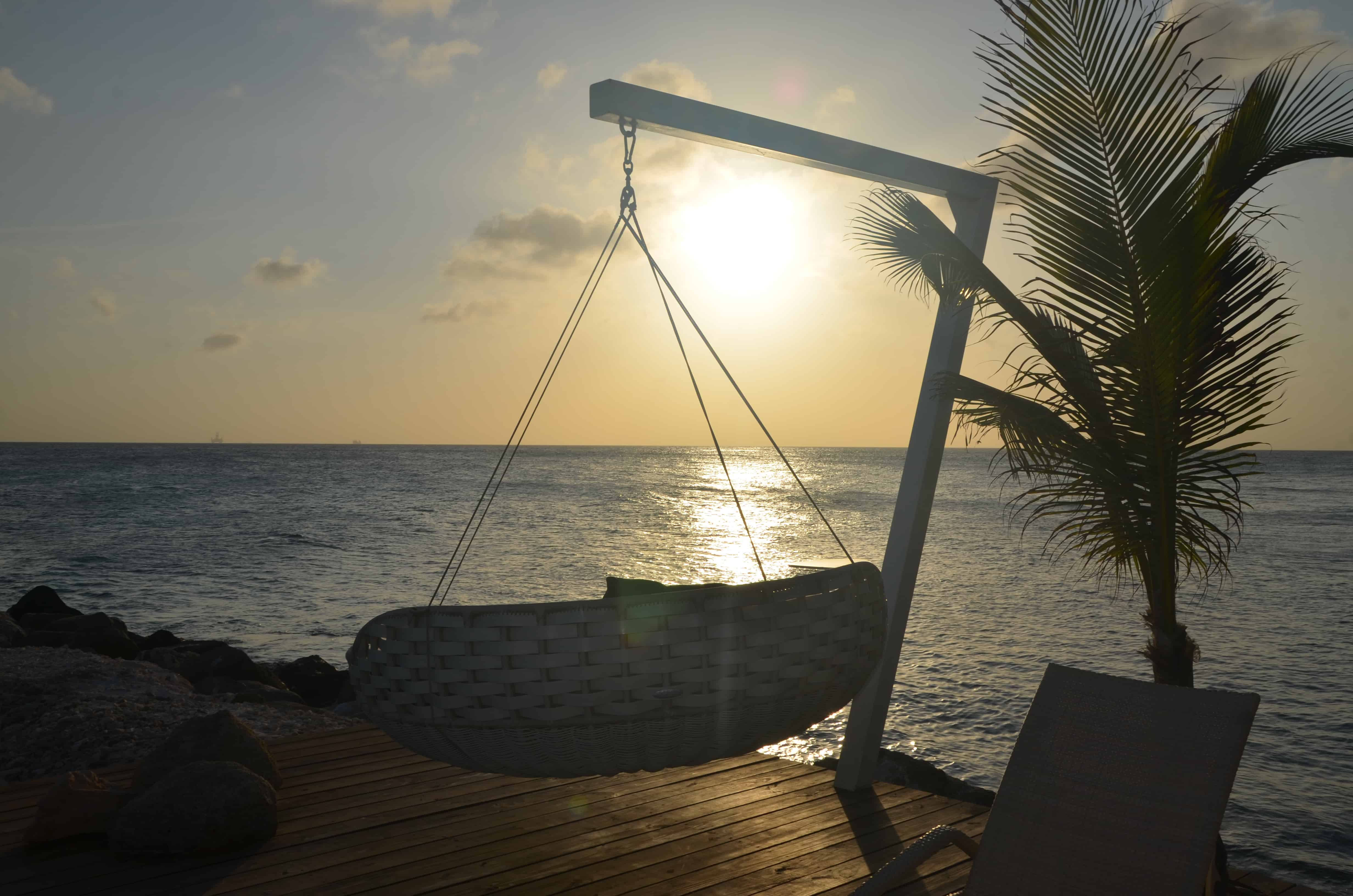 flamingo beach Aruba
