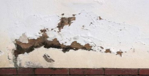 Mould_growing_feature