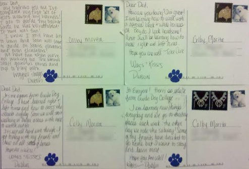 Guide Dog Training Postcards From Dublin Guide Dog Training Postcards From Dublin