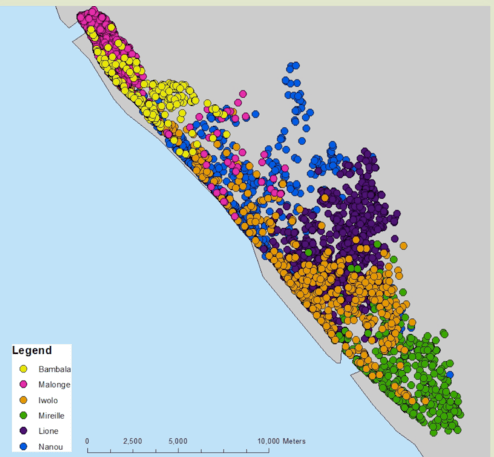 forest elephant locations