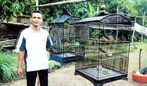 Pri Bird Farm Mojokerto