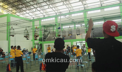 Lomba Burung Indoor KMGK