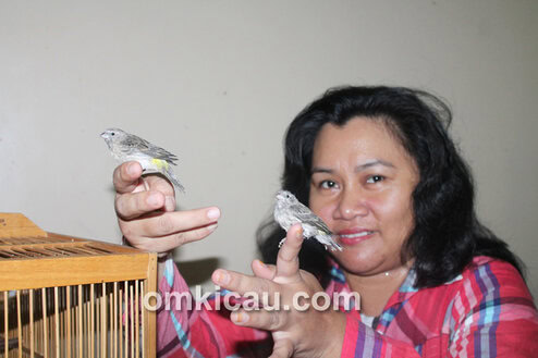 Ny Rahmah, penangkar blackthroat dari Depok