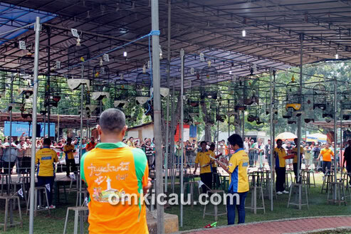 Jayakarta Cup