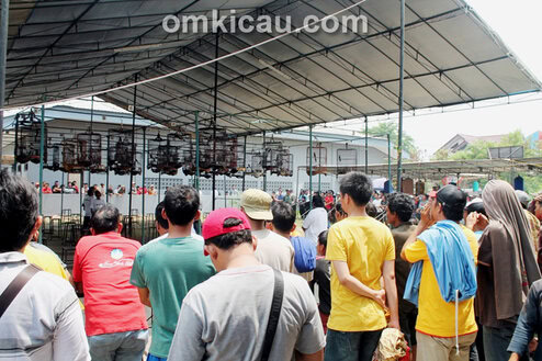 Liga Ronggolawe Jabodetabek