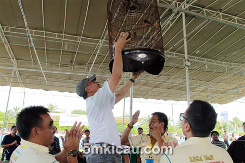 Liga Sumatera 2013 Seri 7
