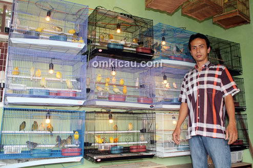 Jemy Canary Bogor