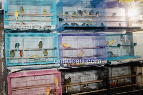 Trisakti Bird Farm Jakarta