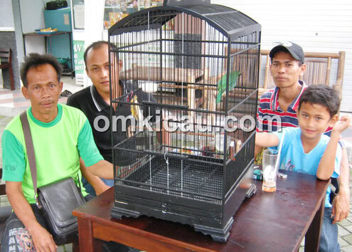 Udin (kiri) dan cucak hijau Cinta Damai.