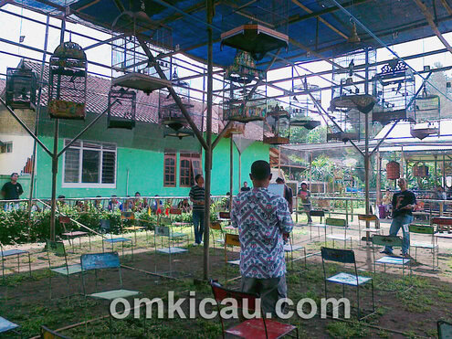 Lomba Burung SapuRegel Cilacap