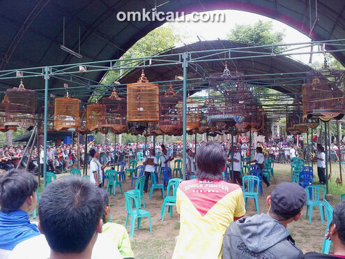 Sesi murai batu Bupati Cup Banyumas