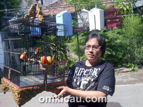 Sonny Lie dan anis merah Bali Dancer