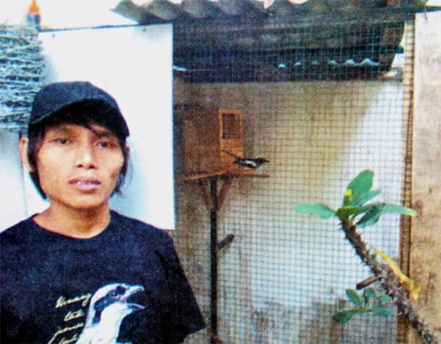 Penangkaran kacer