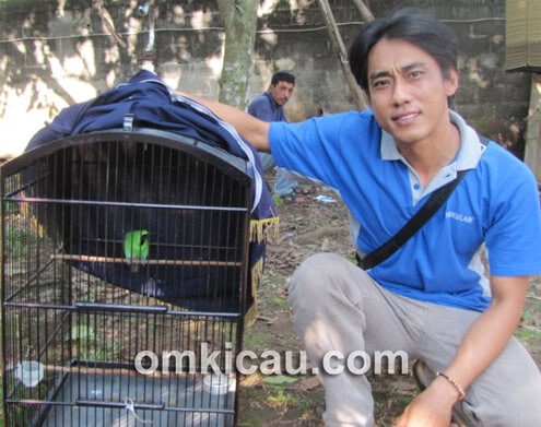 Desly dan cucak hijau Lokomotif