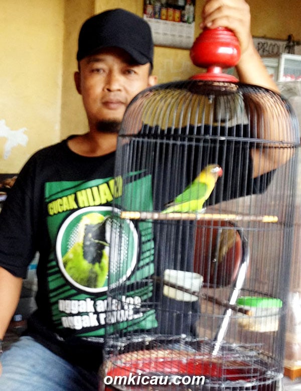 Tobil Proloman bersama Putri Ayu, lovebird hasil breeding sendiri.