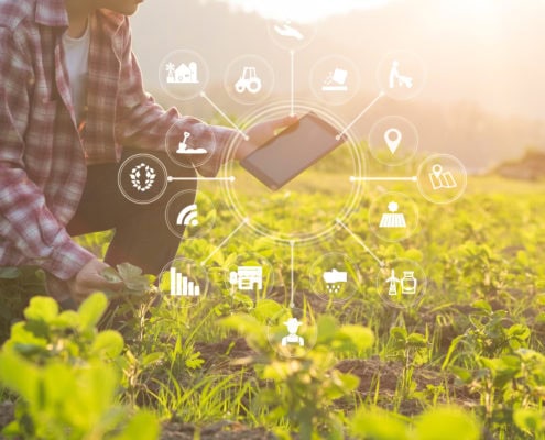 Smart farming on Demeter project