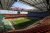 San Siro Stadium Tour