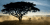 1 Night in Kruger National Park (Plus Game Drive)