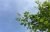 Top Tsitsikamma Canopy Tours
