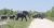 7 BEST Kruger Safari from Johannesburg in 2021