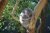 Taronga Zoo Tickets (All-day Pass, VIP Access) 2021
