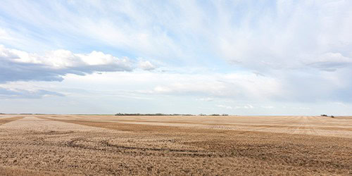 News_Benefits-of-Fall-Tillage